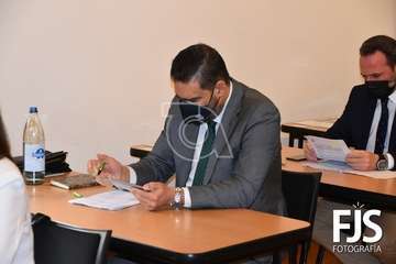 Pleno ordinario de diciembre de 2020/Francisco Javier Santana.